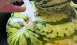 铲子吃瓜搞笑视频,搞笑视频笑翻网友