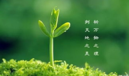 作别春色吃瓜群,一场别开生面的春日盛宴