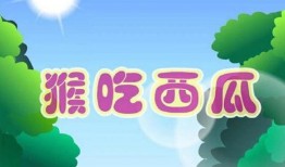 吃瓜故事全集,揭秘娱乐圈背后的秘密与真相