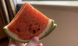 吃瓜小粉鲨,揭秘娱乐圈幕后故事