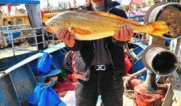 渔民吃瓜围观演习,见证海上安全新篇章