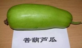 吃瓜会吐血吗,揭秘吃瓜吐血之谜