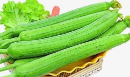 每日一诵吃瓜,品味瓜界风云，笑谈人间百态