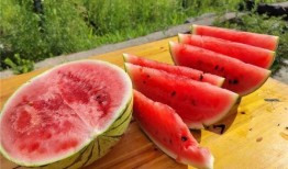 瓜熟了可以吃吗,美味尽享——揭秘成熟瓜果的食用之道