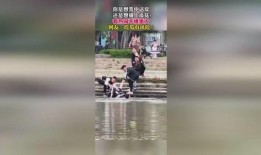 清河吃瓜群众视频,揭秘视频背后的热点事件