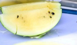 香港脱单吃瓜,吃瓜群众教你轻松脱单