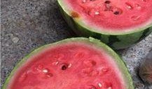 盐城烧瓜怎么吃,传统美食的独特风味与多样吃法