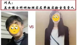 女博士吃瓜网,揭秘学术界那些不为人知的幕后故事