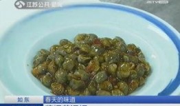 瓜宝吃泥螺,瓜宝的泥螺美食之旅