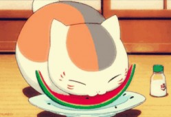 默默吃瓜好吗,品味生活百态