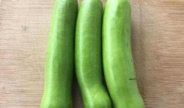 瓠子瓜怎么吃才好,解锁美味新境界