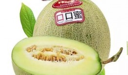 林师傅吃瓜,一场味蕾与心灵的盛宴