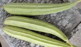 专业吃瓜的图片,图说娱乐圈幕后风云