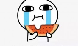 我吃瓜子你吃瓜怎么写,共享瓜子时光的温馨瞬间