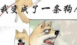 荒谬吃瓜小说在线阅读,一场穿越时空的奇幻冒险