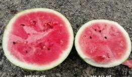 吃瓜生糊,揭秘美食背后的趣味故事