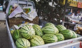 吃瓜最新玩法大全,吃瓜达人必看！最新玩法大全揭秘