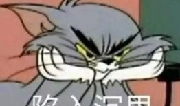 吃瓜疯驴,揭秘娱乐圈背后的疯狂故事