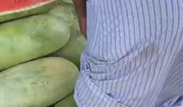 西瓜群众吃大瓜,共享大瓜的甜蜜时光