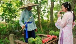 种吃瓜,探寻夏日吃瓜的乐趣与智慧