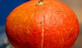 77吃瓜,娱乐圈幕后真相大曝光