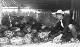 吃瓜群众岱岱删,网络红人的崛起之路