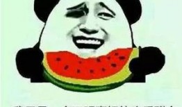 只会吃瓜的呆瓜叫什么,揭秘“只会吃瓜的呆瓜”背后的故事