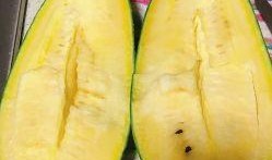 三林崩瓜什么时候吃最好,“三林崩瓜的最佳食用时机揭秘”