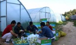 吃瓜群众羊场坝