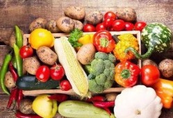 双瓜菜怎么吃,探索夏日清新美食之旅