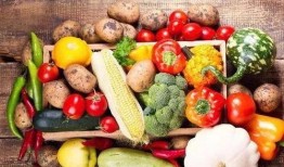 双瓜菜怎么吃,探索夏日清新美食之旅