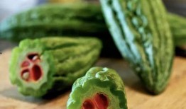 吃瓜沈同学,吃瓜沈同学背后的故事