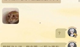 争宠吃瓜后续免费阅读,瓜田里的爱恨情仇