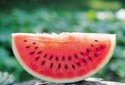 吃的所有瓜图片,探寻各式瓜类美食的缤纷世界