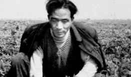 焦裕禄请孩子吃瓜,焦裕禄与孩子们的甜蜜瓜缘