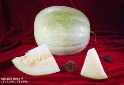 平潭白瓜怎么吃,解锁美味新体验