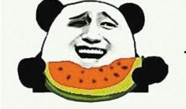 比利时吃瓜群众,瓜界风云，谁主沉浮？