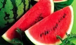 每天没瓜吃,揭秘日常饮食中的甜蜜诱惑