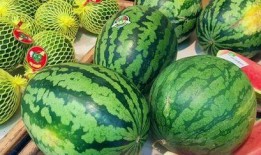 吃瓜吃的甜样子很好看,捕捉瓜味生活之美