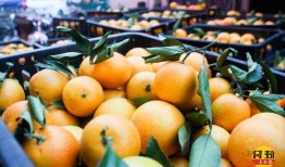 云顶新耀吃瓜,揭秘娱乐圈的“吃瓜”风云