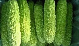 南宁吃瓜哥,揭秘南宁街头美食风云录