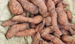 流产之后可以吃吊瓜吗,吊瓜的适宜食用指南