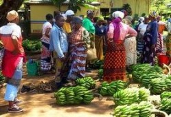 马兰山吃瓜青年,吃瓜青年畅谈人生百态