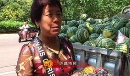 日喀则吃瓜群众视频,吃瓜群众的欢乐时光