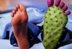 痛风吃角瓜吗,角瓜的食疗益处