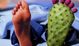 痛风吃角瓜吗,角瓜的食疗益处