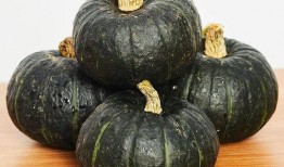 吃贝贝瓜过敏,探寻过敏源与应对策略