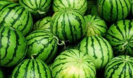 吃瓜都吃不健康吗图片,揭秘过度“吃瓜”背后的健康隐患