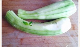 绿色的炒菜吃的瓜,探寻绿色炒菜中的瓜果美味之旅