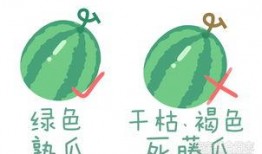 卖瓜吃瓜文案简短句子,笑谈甜蜜人生